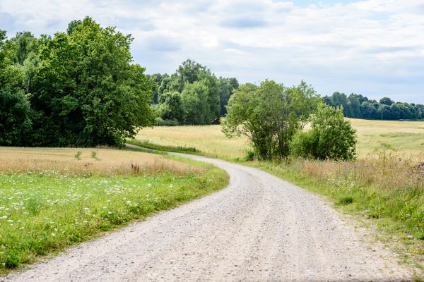 Cost of Stone Driveway Repair in West Bloomfield