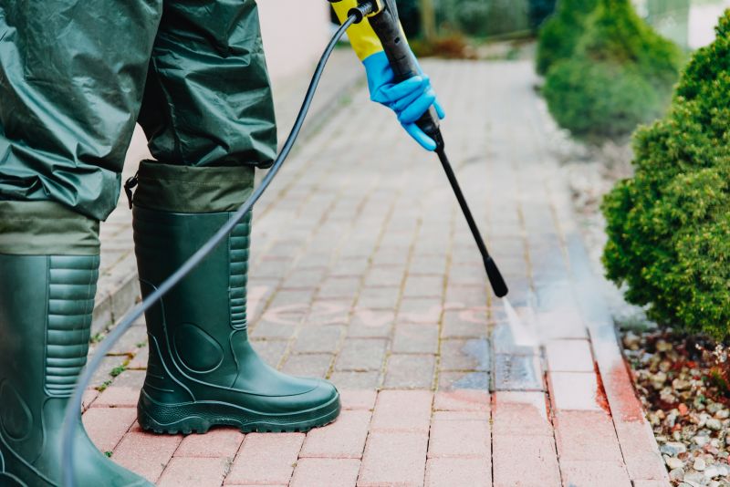 Cleaning Pavers