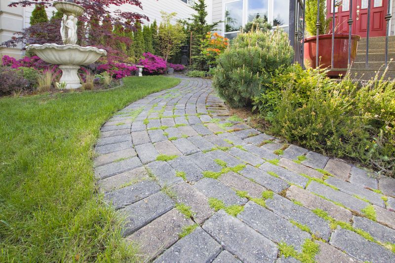 Professional Paver Design